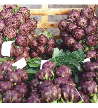 Padellone da cm 40X60X11H...