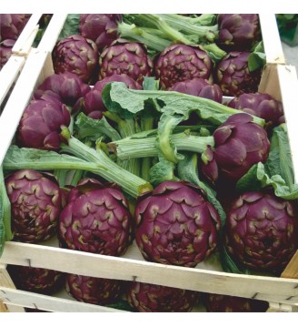 Padella di legno da cm...