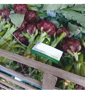 Cassette da cm 60X40...