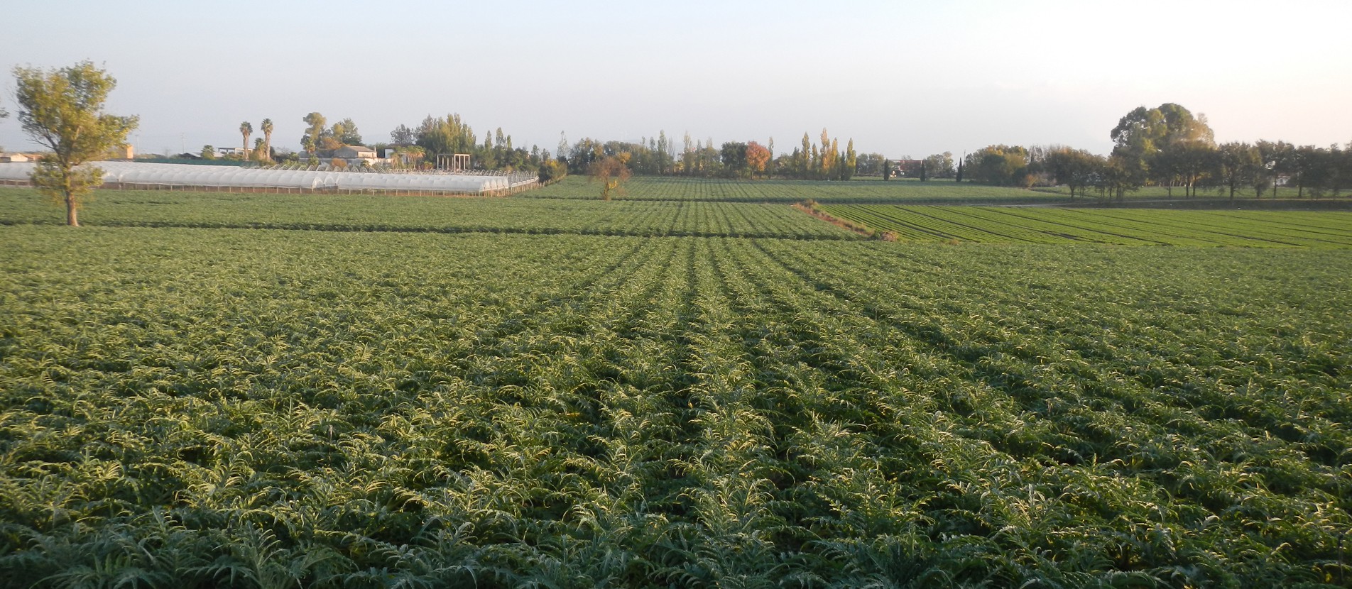 L'alta qualità dei nostri prodotti